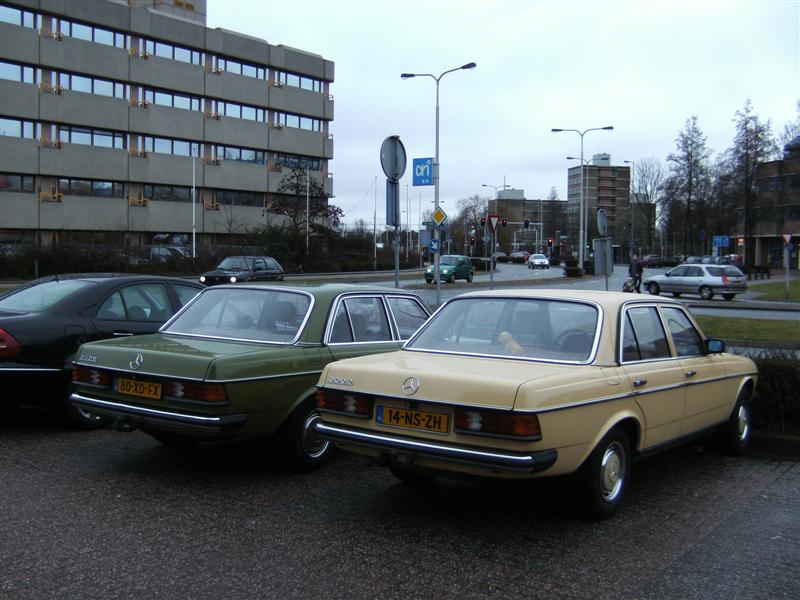 groene en gele arnhem 004 (Medium).jpg