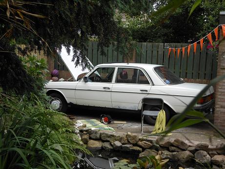 benz in tuin.JPG