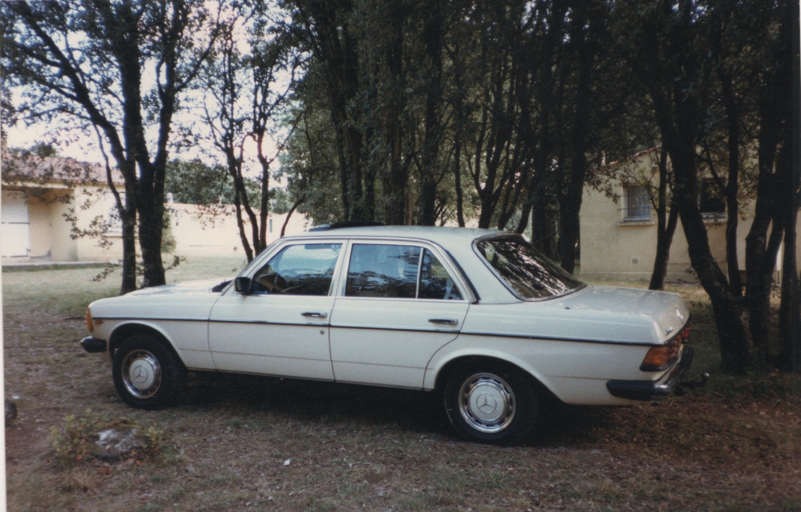 240D1984.jpg