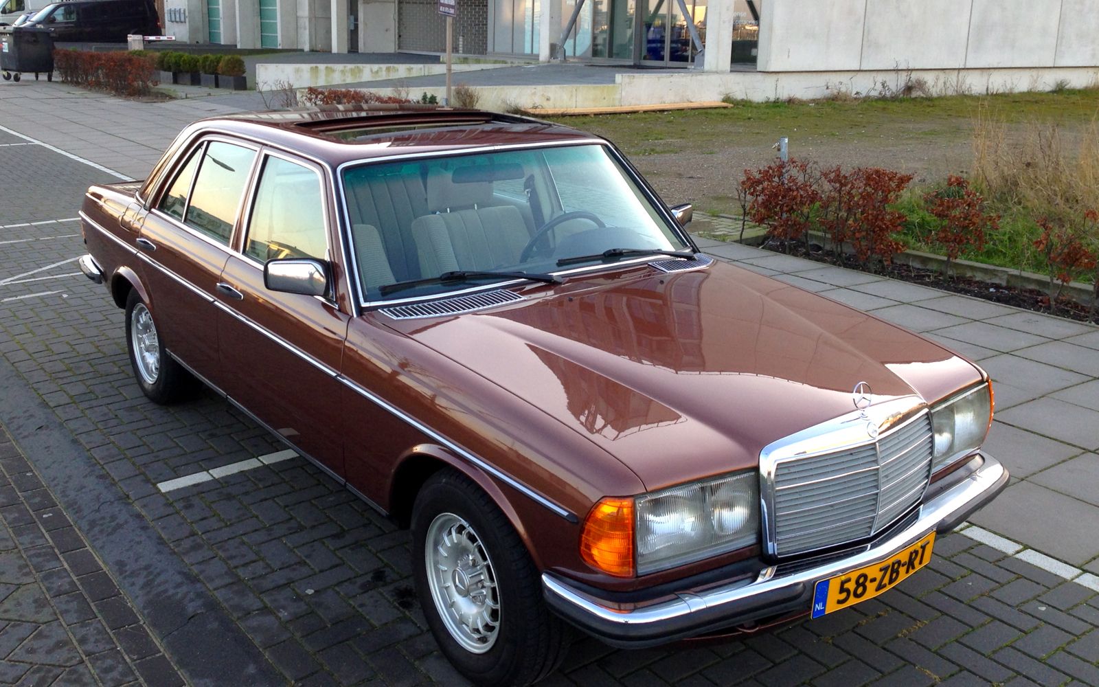 w123 forum 2.jpg