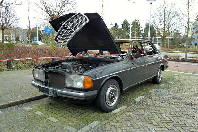 1982 Mercedes-Benz 300D_640(2).jpg