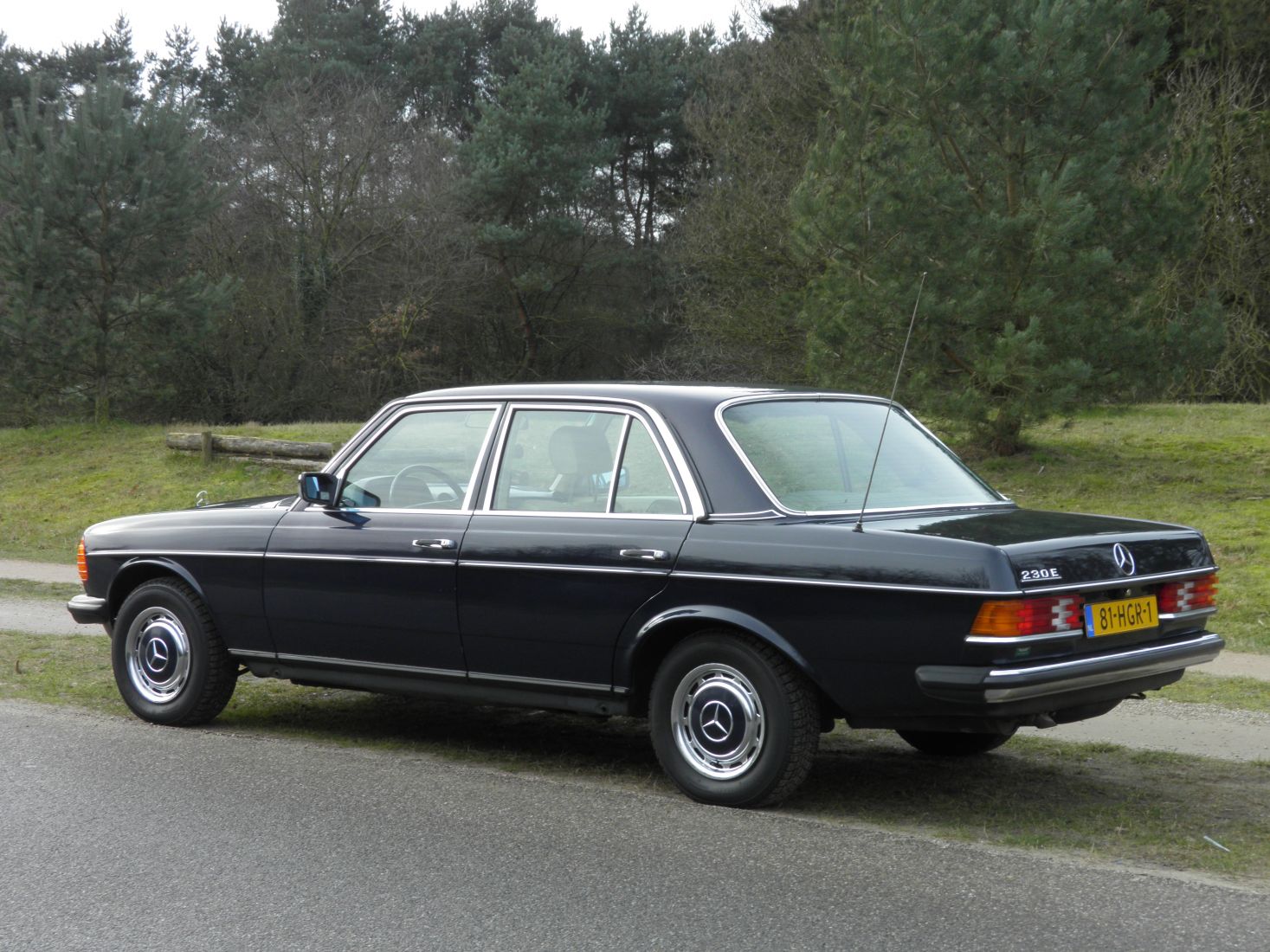 xl-mercedes-w123-230e-1.jpg