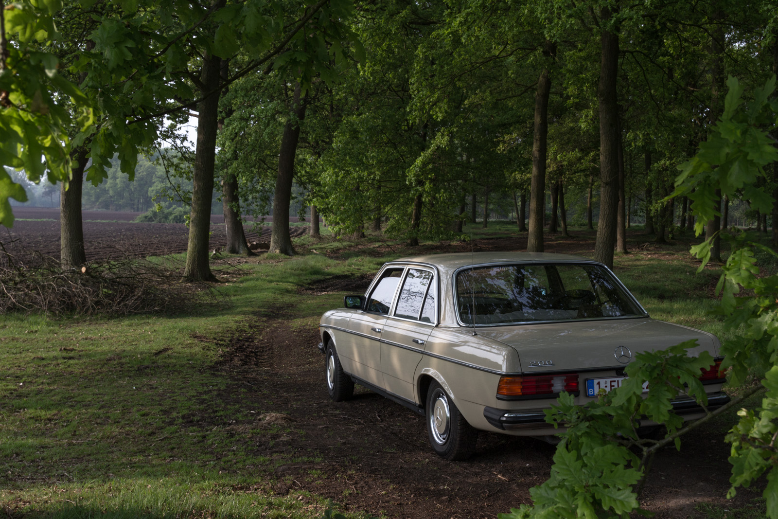 w123 (1 of 3)-2.jpg