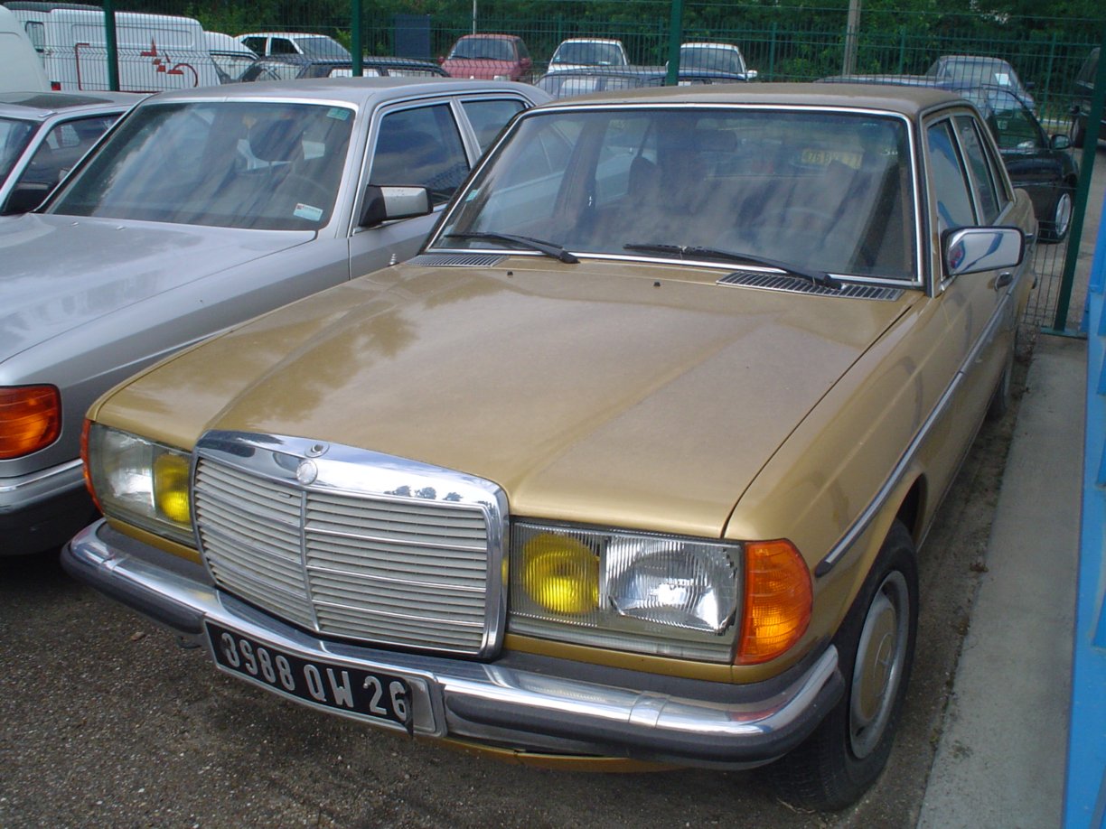 1976280.JPG